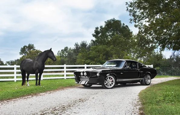 Shelby, Black, GT500CR, Horse