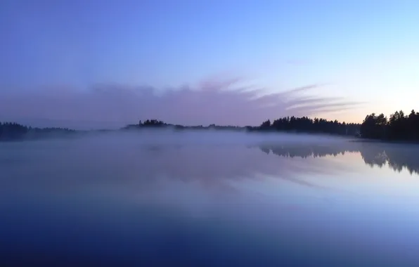 Trees, fog, lake, reflection, 153