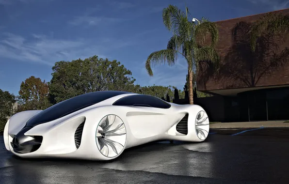 The concept, Mercedes, biome
