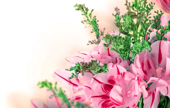 Picture leaves, macro, nature, bouquet, petals