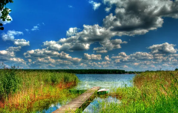 Picture forest, the sky, clouds, river, boat, the bridge, backwater