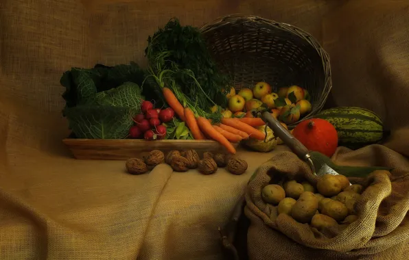 Greens, basket, apples, treatment, pumpkin, still life, bag, vegetables