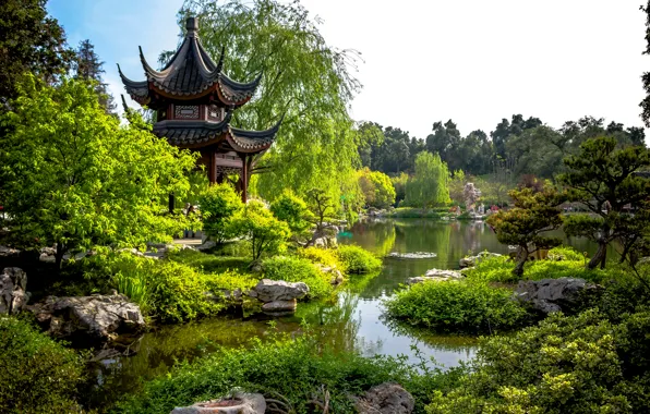 Greens, trees, pond, Park, stones, CA, pagoda, USA
