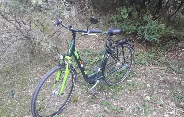 Nature, KTM, Anapa, bike.