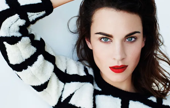 Makeup, brunette, Alexa Chung