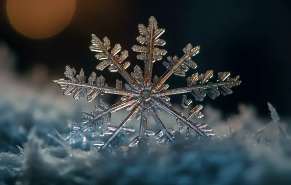 Winter, crystal, macro, snow, Shine, Christmas, New year, crystals