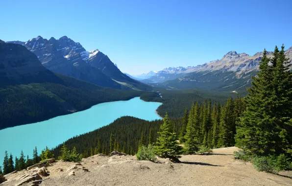 Picture forest, the sky, mountains, lake