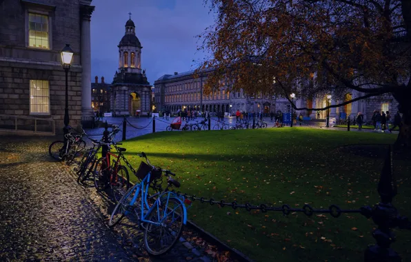 Picture tree, building, home, area, lantern, Ireland, night city, bikes