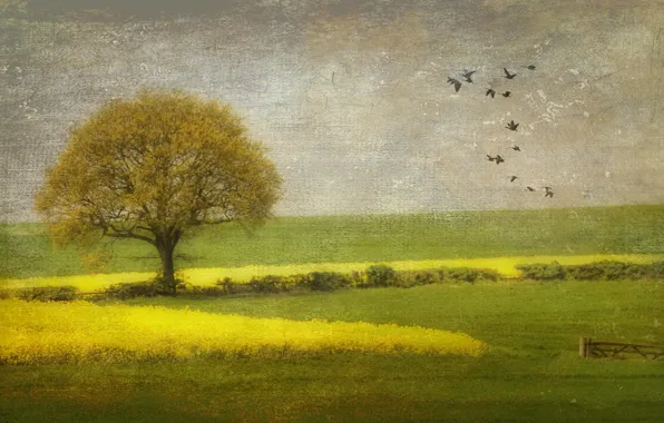 Field, trees, nature, style