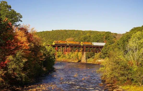 Autumn, forest, the sky, the sun, trees, bridge, river, train