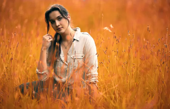 Shirt, in the grass, brown-eyed, Summerset