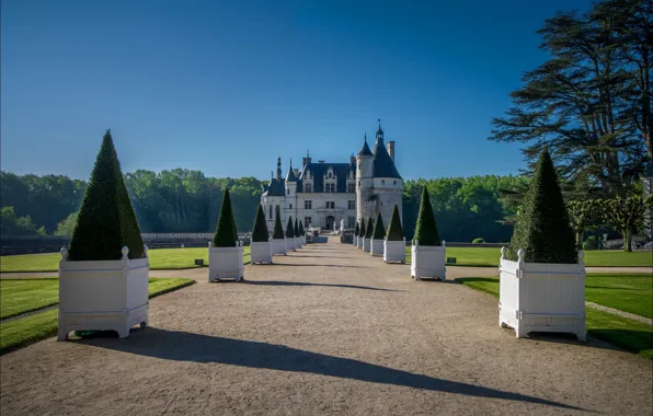 Castle, France, alley, Chenonceau