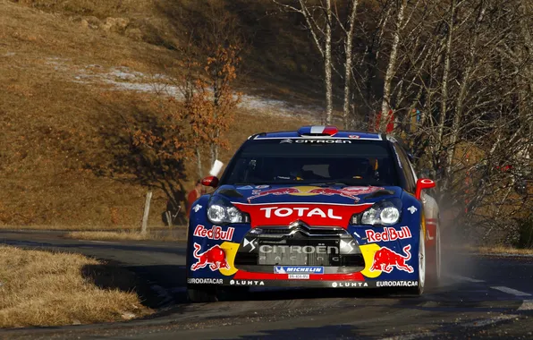 Auto, Autumn, Asphalt, Citroen, Red Bull, DS3, WRC, Rally