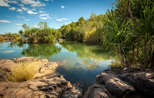 The sky, stones, thickets, pond