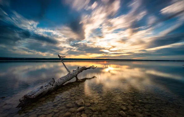 Picture trees, sunset, lake, shore