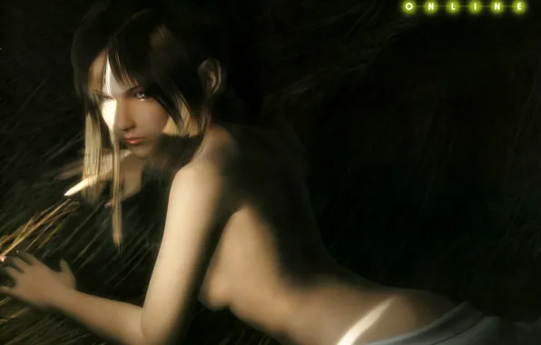Back, lies, game, the barn, Dead or Alive, DoA Girls, Ayame, 3D