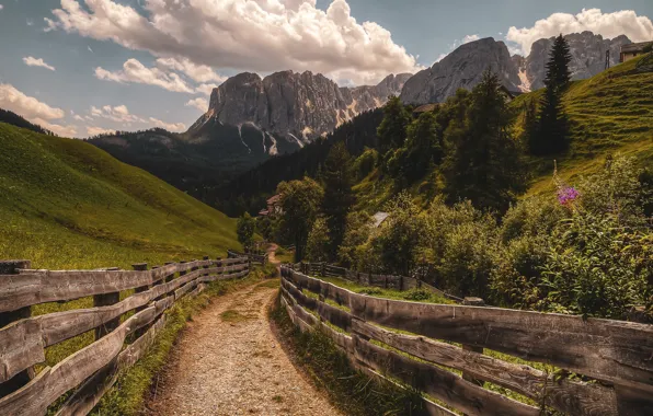 Picture road, mountains, the fence