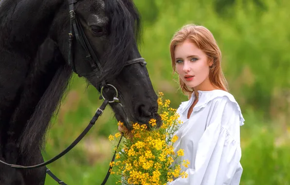 Picture look, girl, flowers, face, background, horse, horse, Ki Te