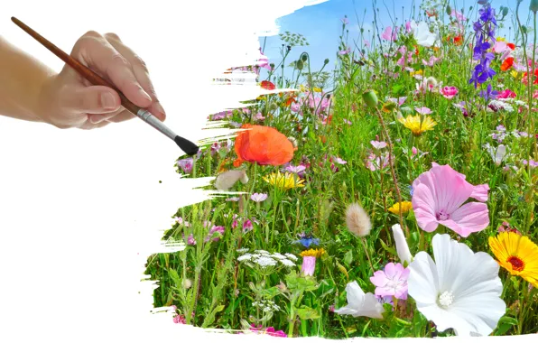 Picture grass, brush, wildflowers