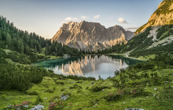 Landscape, mountains, nature, lake, vegetation, Austria, Alps, forest