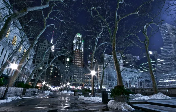 Picture city, lights, USA, road, trees, night, New York, NYC