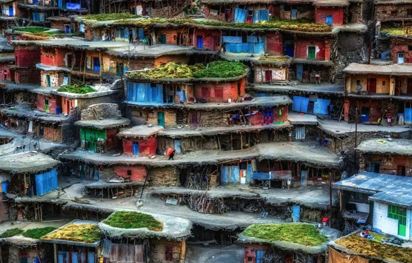 Picture houses, Iran, slums, Sar Aqa Seyyed