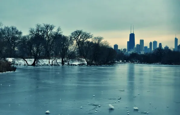 Ice, winter, snow, trees, skyscrapers, Chicago, USA, Chicago