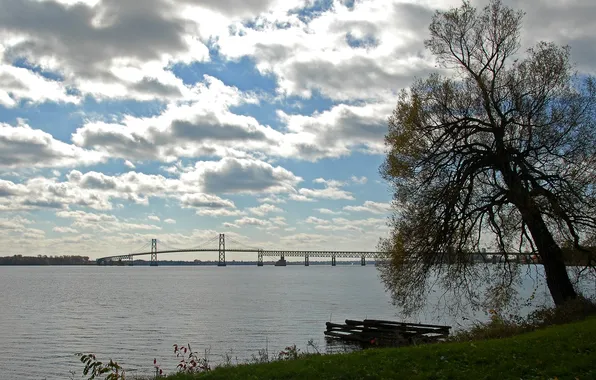 Picture the sky, clouds, bridge, river, tree