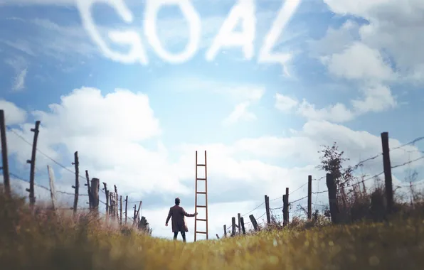 Picture the sky, ladder, male, Vincent Bourilhon, To reach your goal