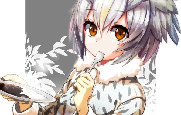 Girl, Kemono Friends, Long-eared friends