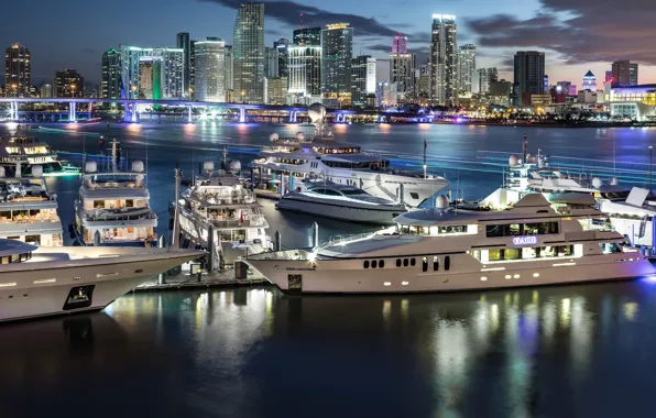Picture night, the city, lights, yachts