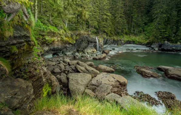 Forest, trees, stones, waterfall, Canada, Sombrio Beach