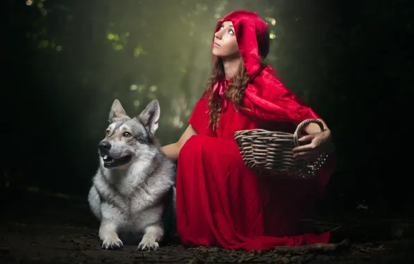 Picture girl, dog, hood, cloak, basket, Little red riding Hood and Grey Wolf