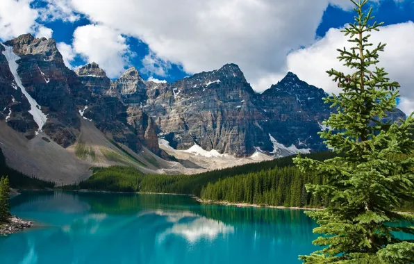 Picture forest, mountains, lake, spruce