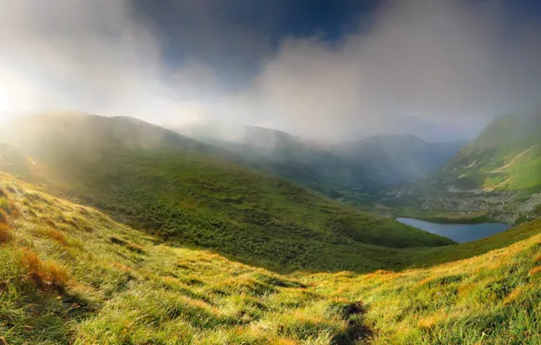 Picture grass, water, landscape, nature, fog, dawn, hills, morning