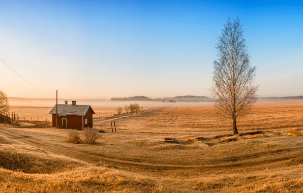 Picture field, trees, home