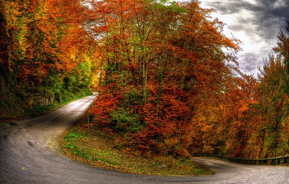 Autumn, forest, the sky, clouds, trees, landscape, nature, road