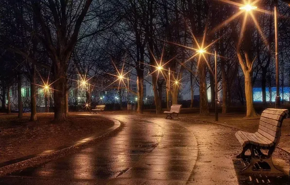 Picture the evening, lights, alley, bench