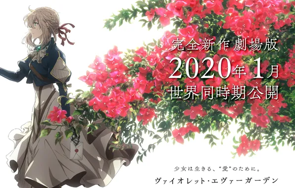 Letter, characters, art, in profile, red flowers, garden flowers, Violet Evergarden, violet evergarden