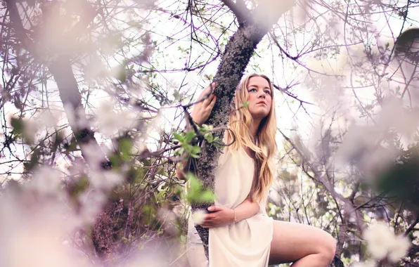 Girl, trees, background