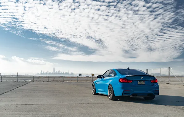 Bmw, rear view, f82