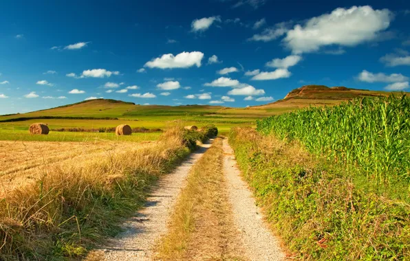 Picture field, the sky, nature, blue, corn, stack, horizon, space