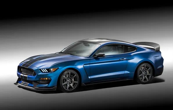 Picture photo, Mustang, Ford, Shelby, Tuning, Blue, Car, 2015