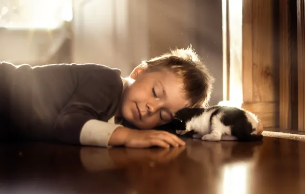 Wallpaper kitty, boy, sleep