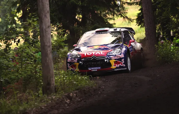 Picture Forest, Sport, Machine, Race, Citroen, DS3, WRC, Rally