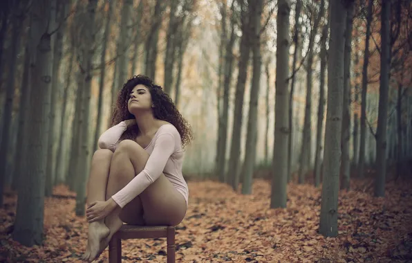 Autumn, forest, girl, chair