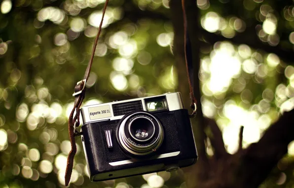 Picture macro, background, cameras