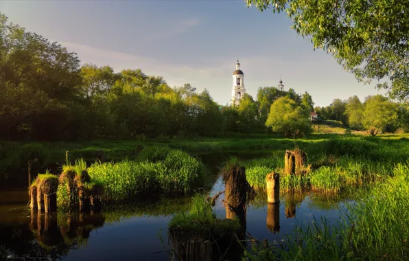 Summer, trees, nature, river, morning, Church, Russia, Agoranov Alex