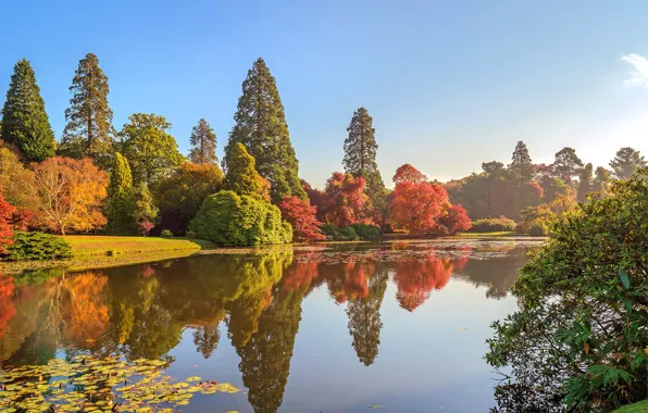 Picture autumn, the sun, trees, river, England, Sheffield Park