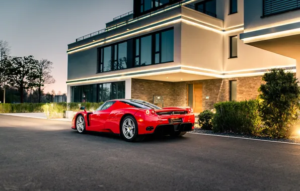 Enzo, Rear view, Evening